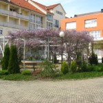IMG_0159-dom-umirovljenika